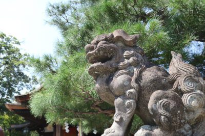 大将軍八神社の狛犬写真